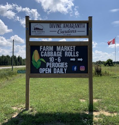 farm_market3
